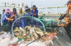 海南省首座深远海智能养殖旅