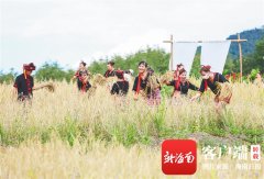 2022年白沙黎族自治县“啦奥门