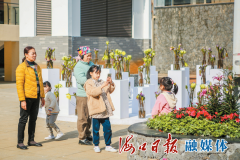 海南热带花卉交易（拍卖）市