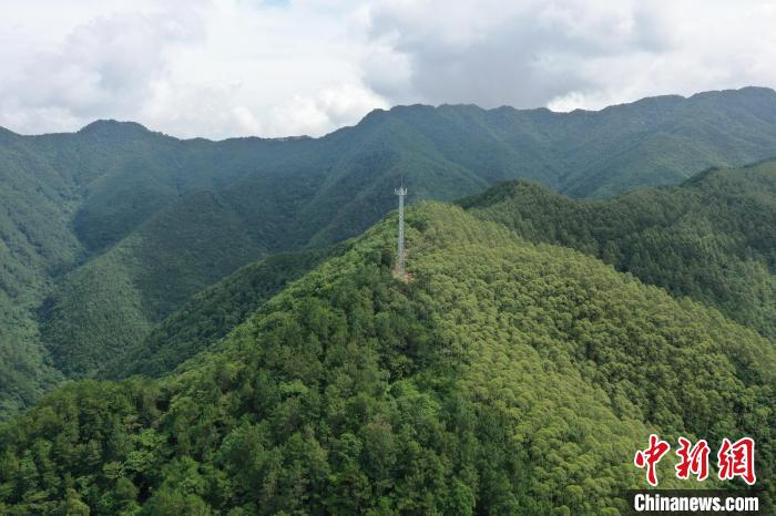 广东云浮林场 广东省林业局 供图