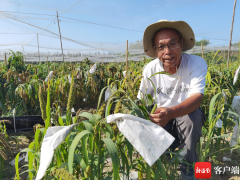 赵治海准时带领团队赴南繁基