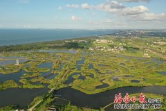 迈雅河湿地公园修复工程成为