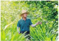 钱袋子鼓了 村民的日子越过越