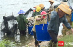 琼海塔洋渔光互补项目促进村