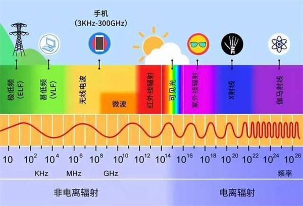 电车致癌、雨天不能充电：3202年了 居然还有人信