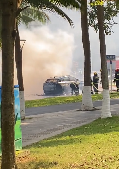 魏牌高山获首个中国火灾安全认证混动MPV 750℃高温下预留出逃生空间