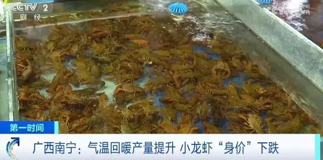 昔日“顶流”美食小龙虾身价暴跌！有老板一天卖12000斤......