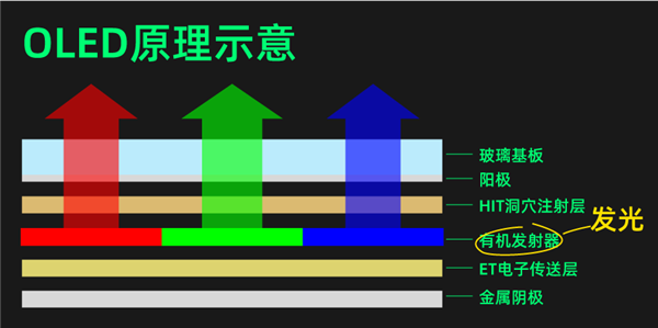 OLED屏幕都被塞到车上了：这玩意做这么大真合适吗