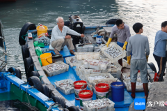 出海捕捞的一艘艘渔船满载而